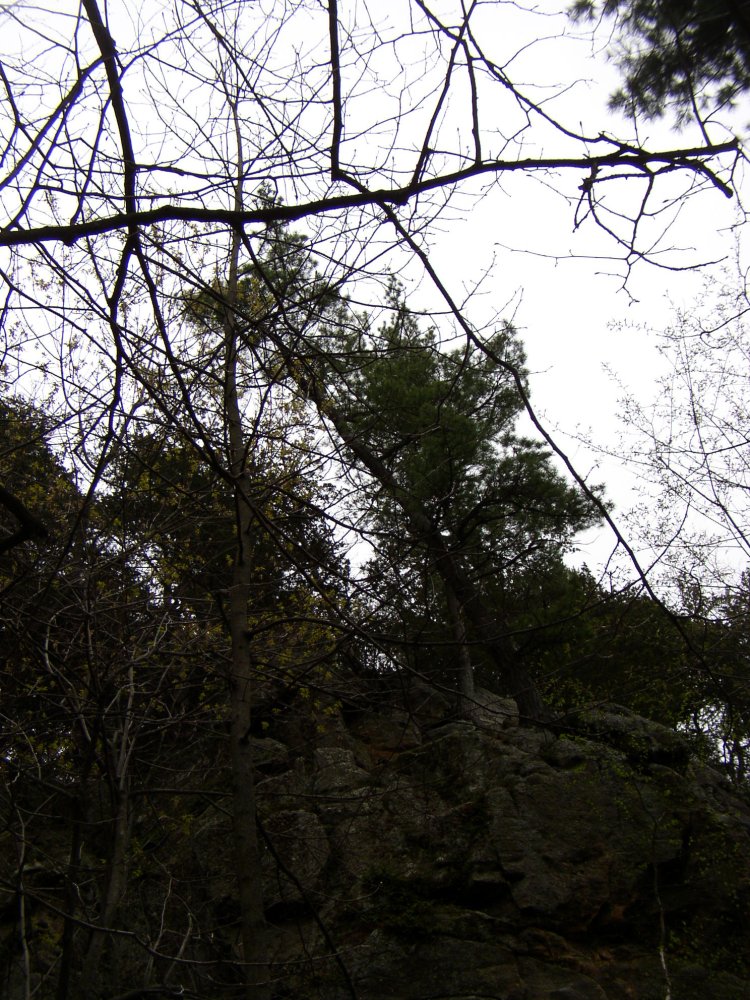 p5240559