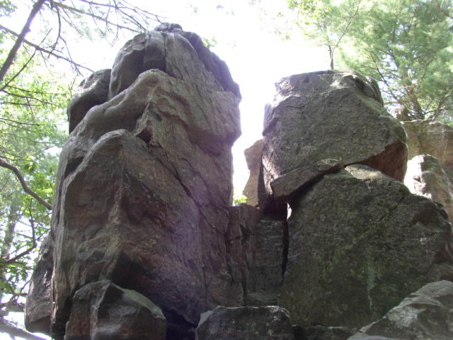 p7281103