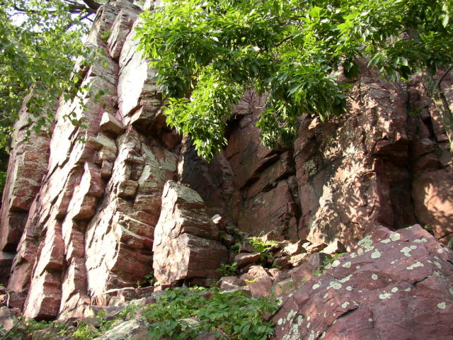 p7281153