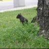 2005-07-03 - Hixon Forest