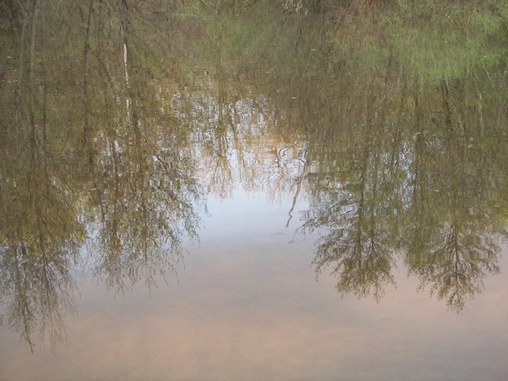 Forest Sunset reflected off of pond