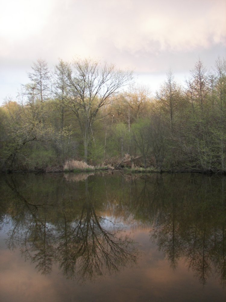 Sunset reflected on Pond