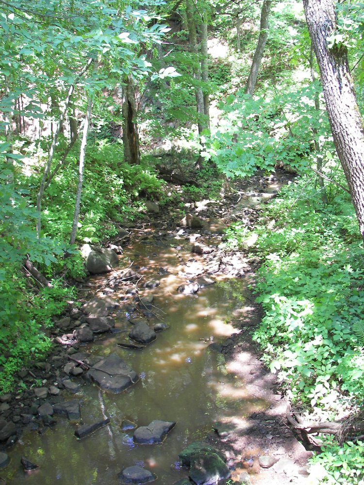 Creek