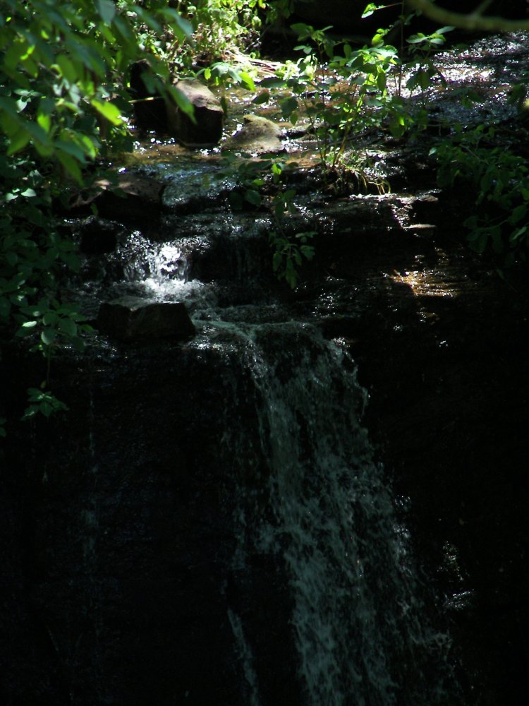 Silverbrook Falls
