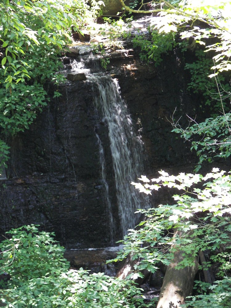 Silverbrook Falls