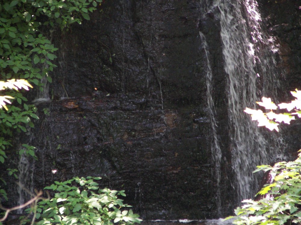 Silverbrook Falls