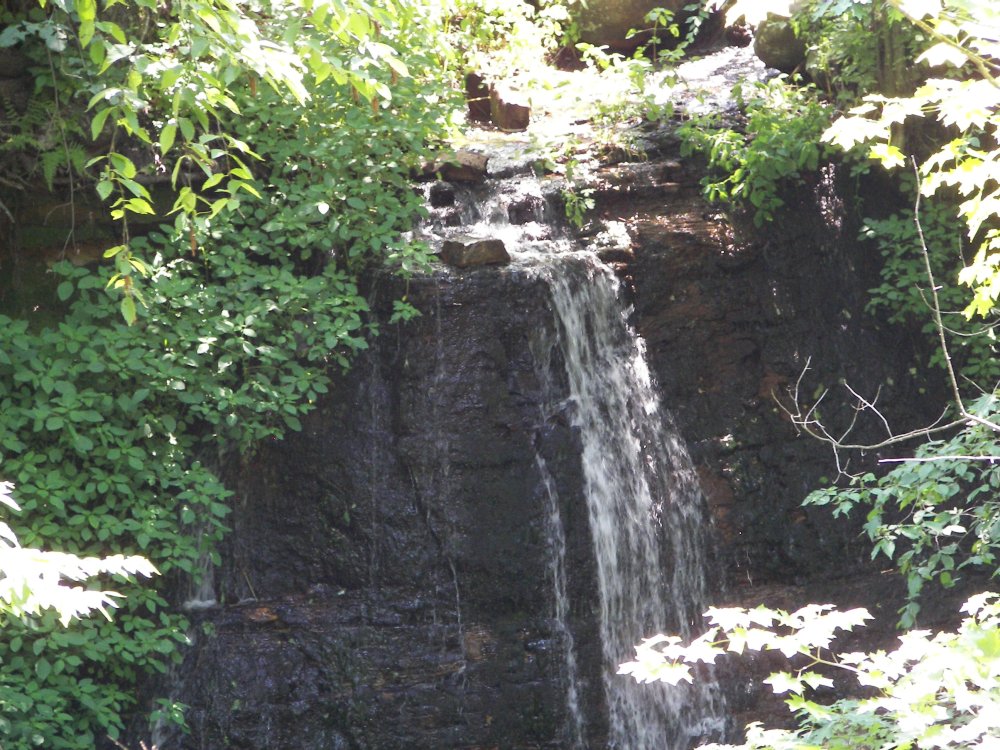 Silverbrook Falls