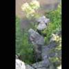 Rocks next to River