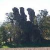 2006-10-01 - Three Chimneys