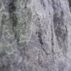 2006-10-14 - Devils Lake SP