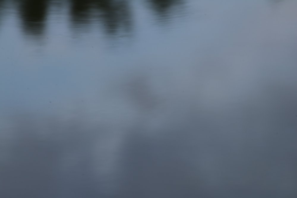 IMG_3794