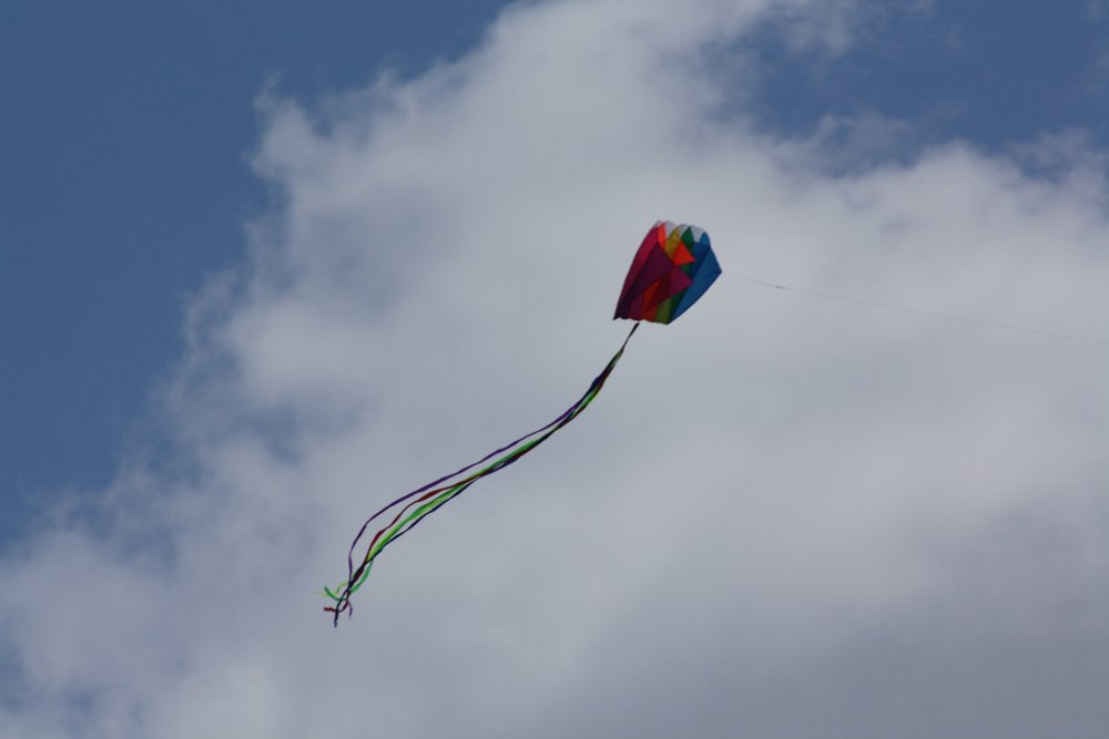 IMG_5297