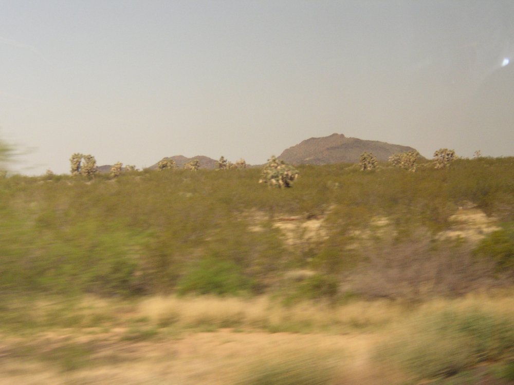 Bus Ride 007