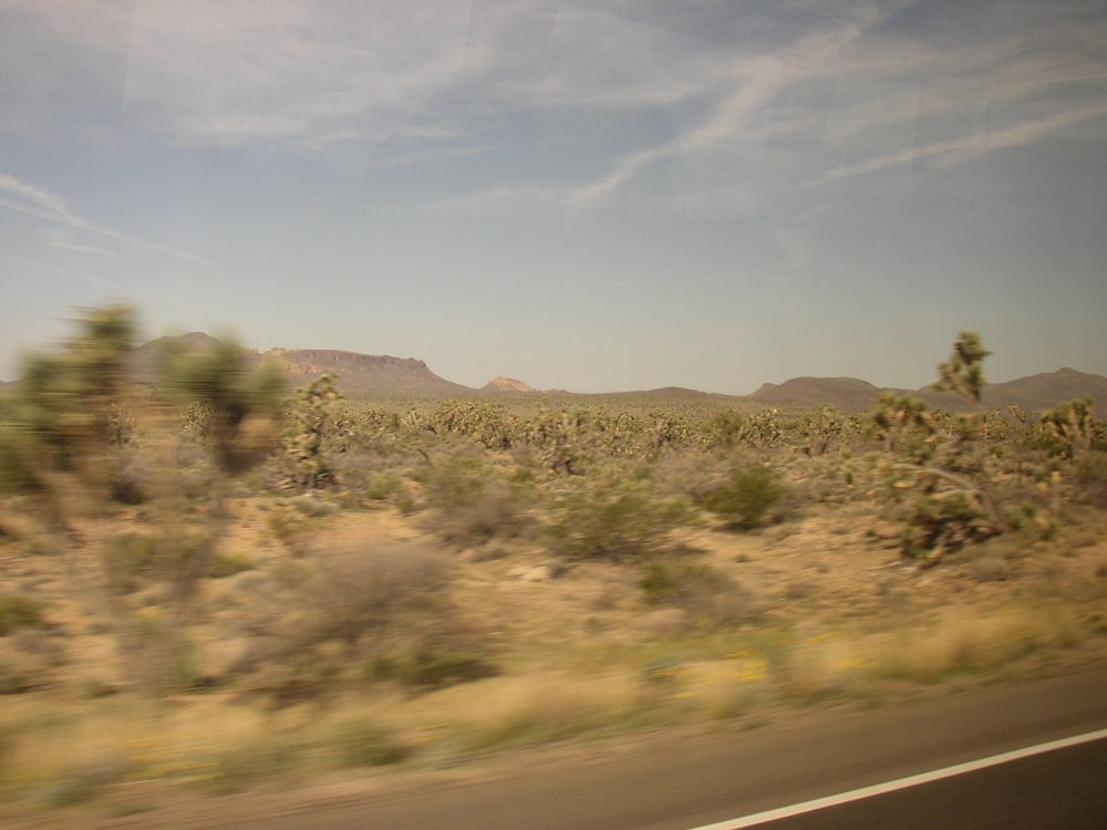 Bus Ride 010