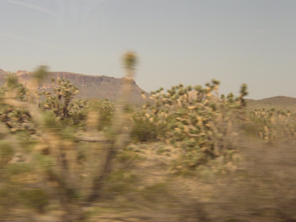 Bus Ride 011