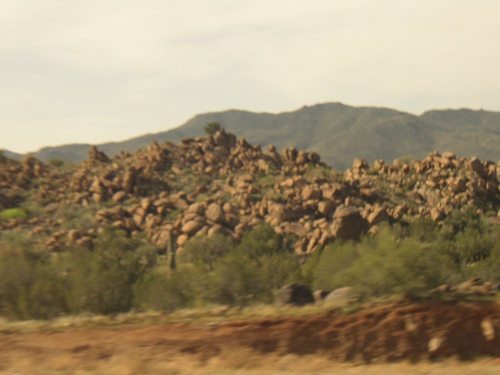 Bus Ride 029