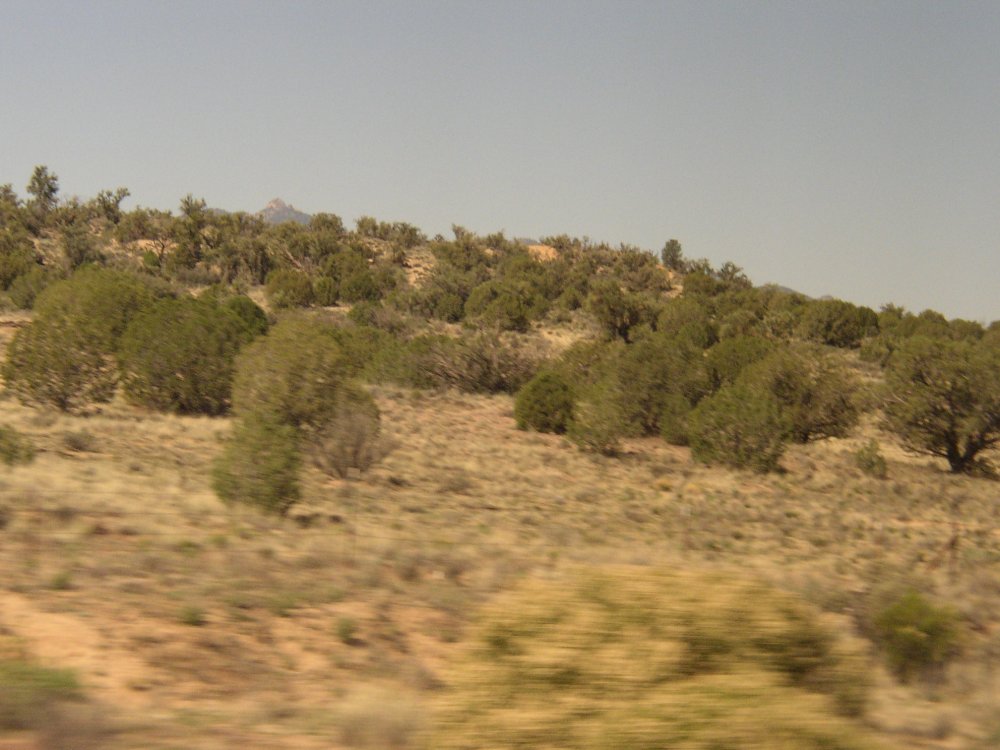 Bus Ride 062