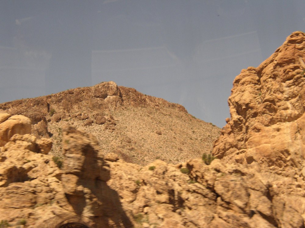 Bus Ride 104