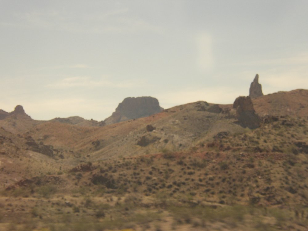 Bus Ride 113