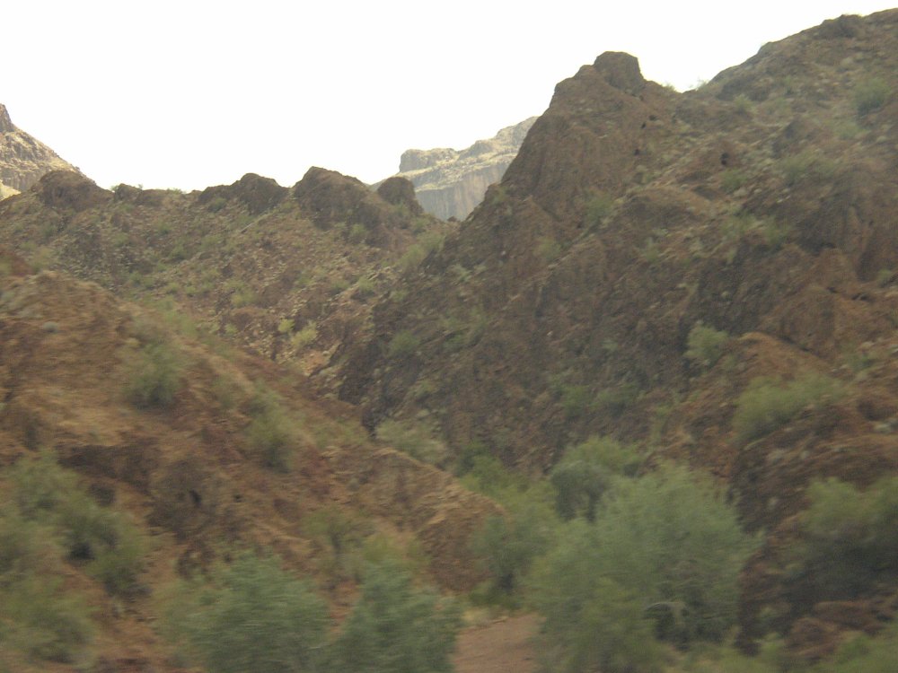 Bus Ride 175