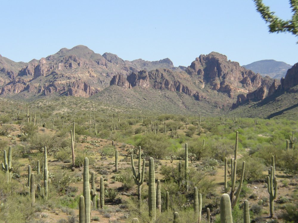 Mountains 006