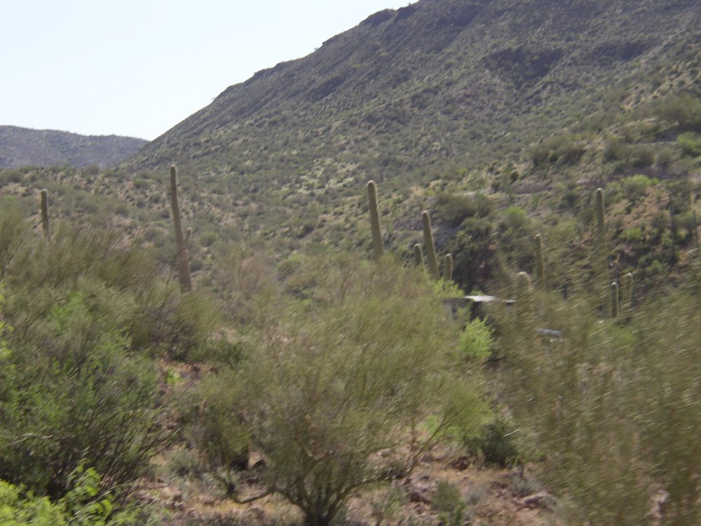 Mountains 029