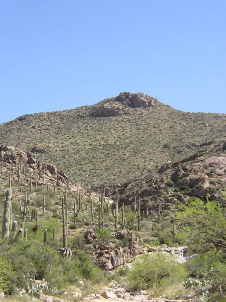Mountains 039