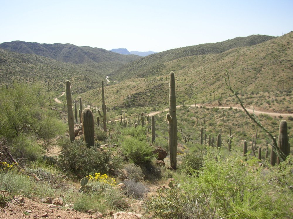 Mountains 045
