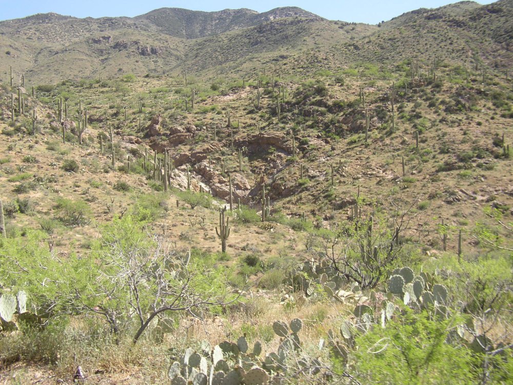 Mountains 048
