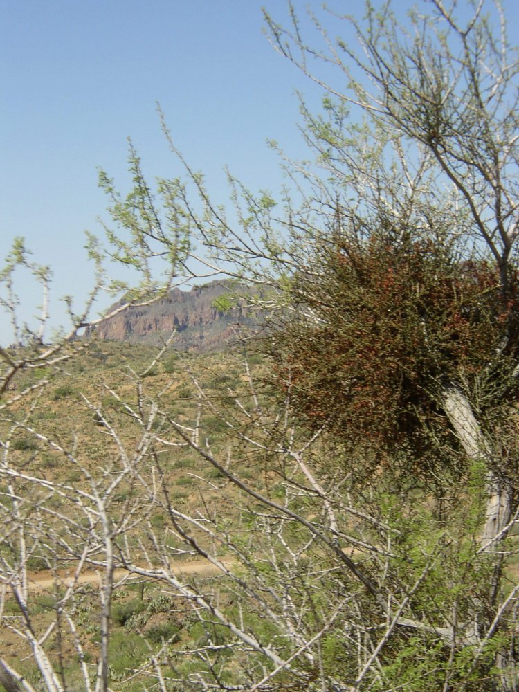 Mountains 051