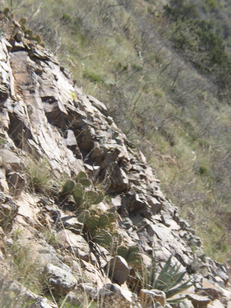 Mountains 061