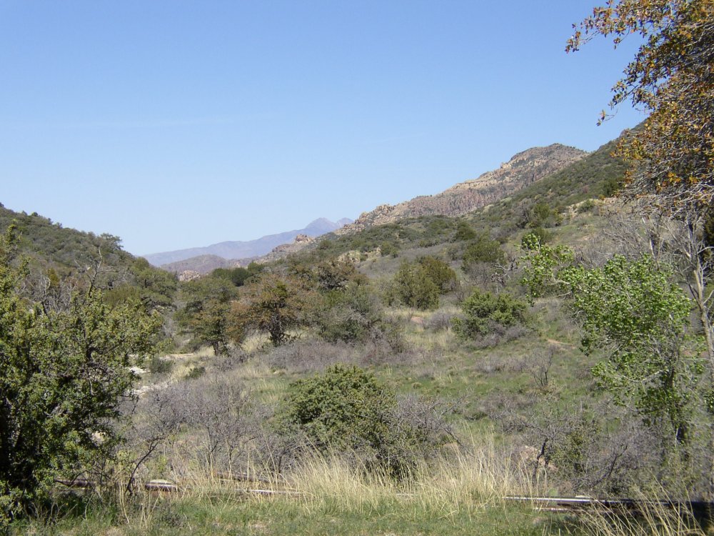 Mountains 065