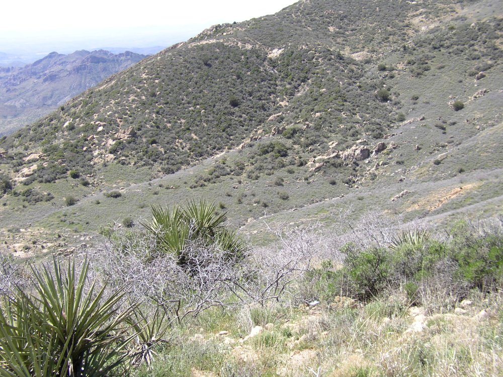 Mountains 070