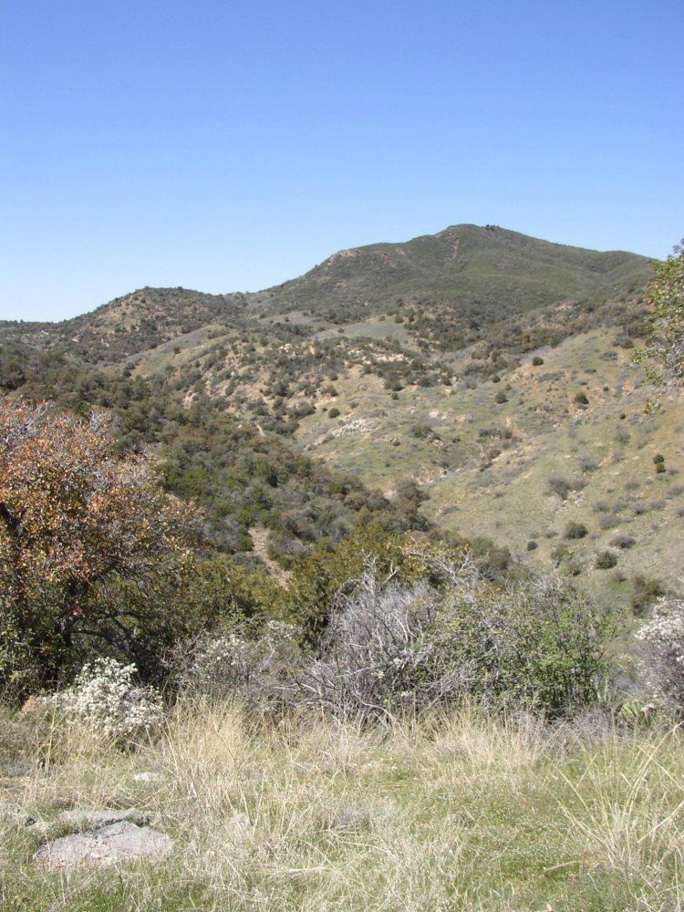 Mountains 077