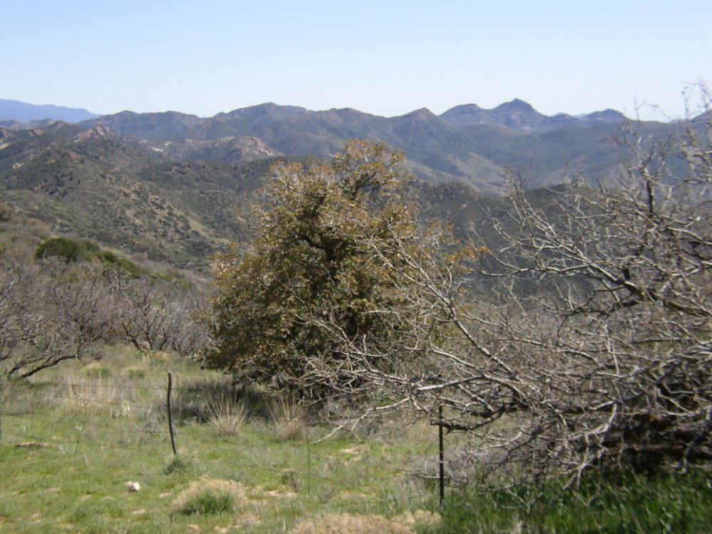 Mountains 078