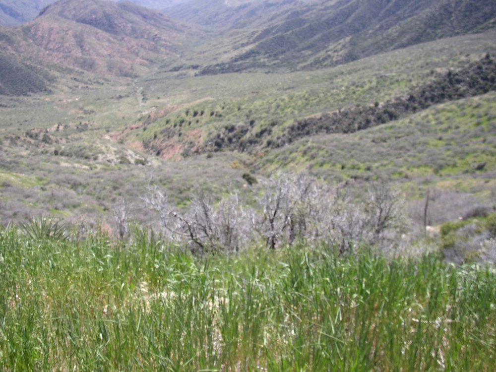 Mountains 081