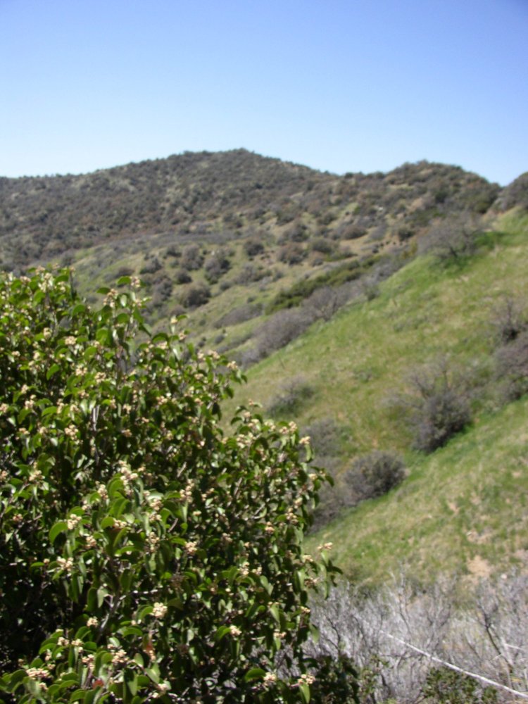 Mountains 082
