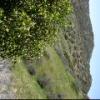 Mountains 082