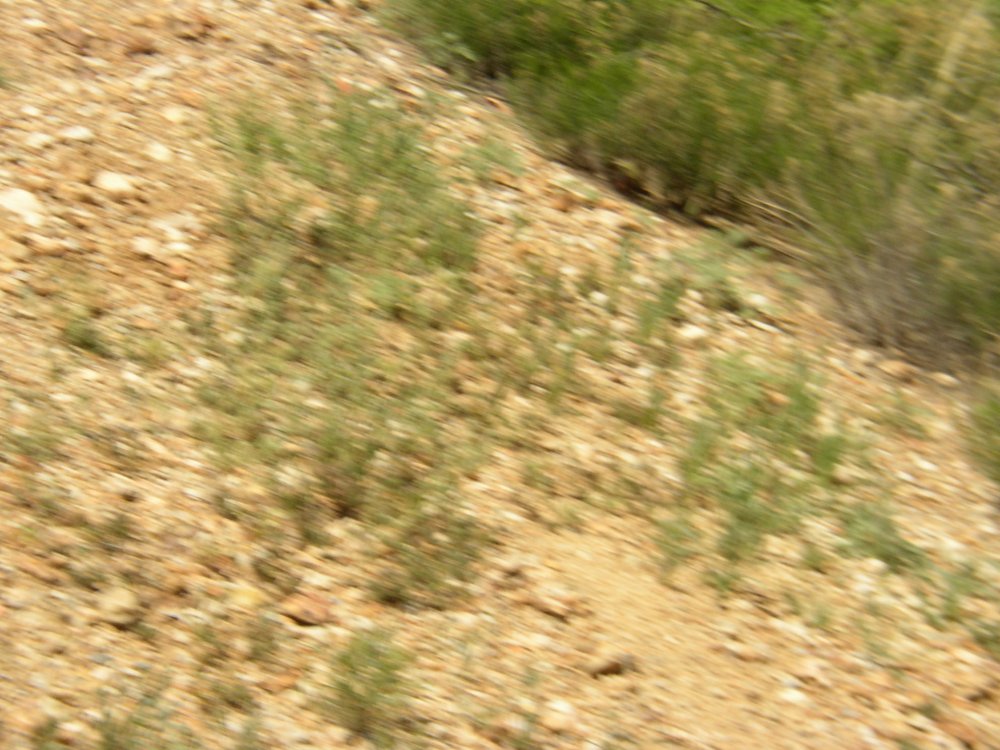 Mountains 091