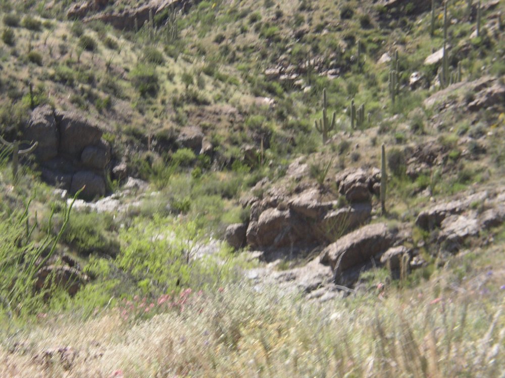 Mountains 103
