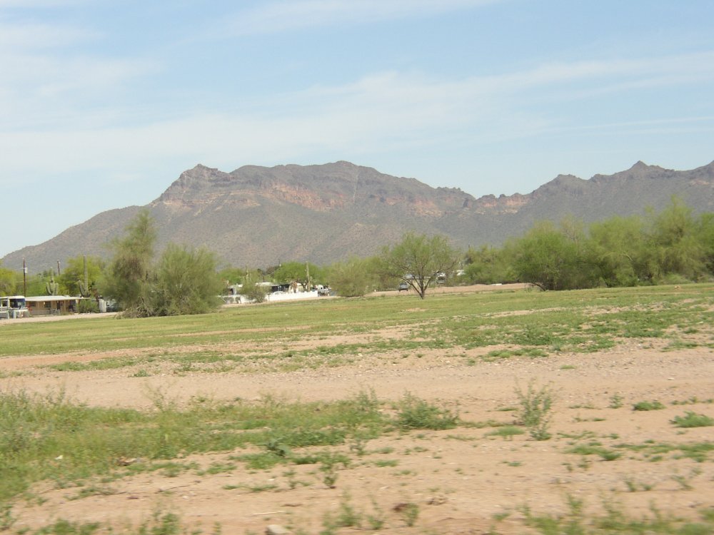 Picture 001