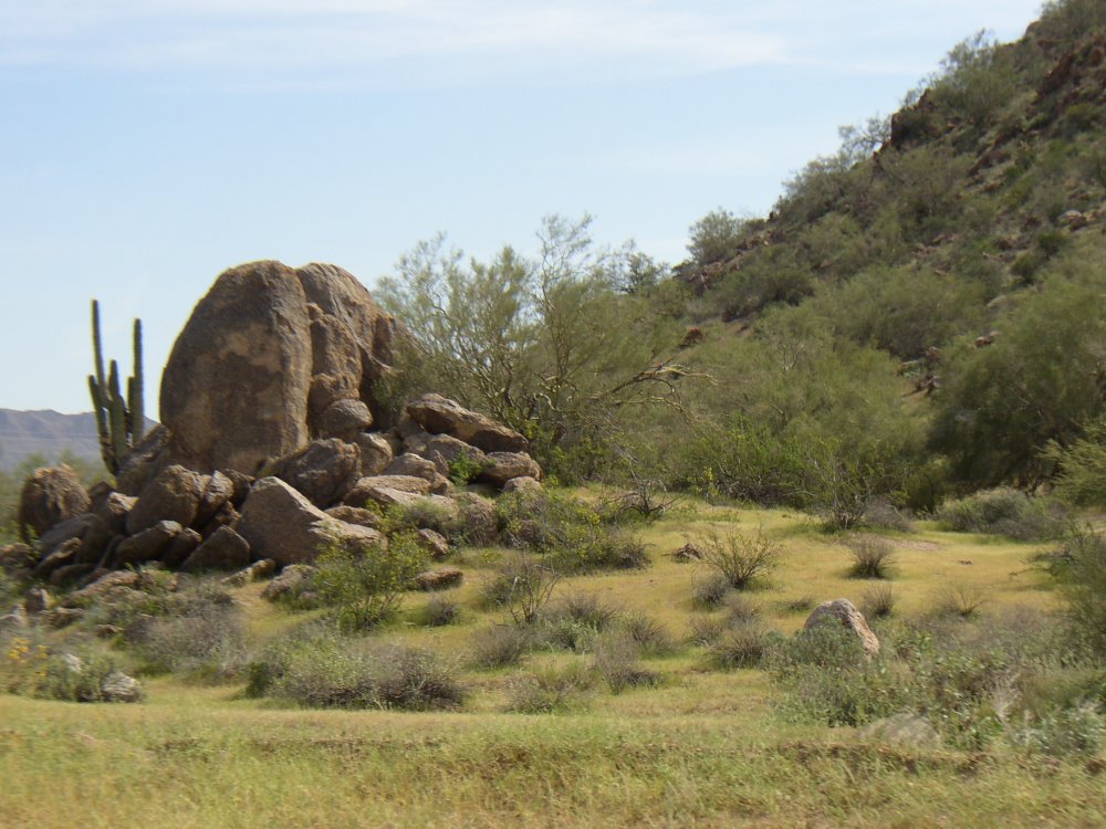 Picture 003