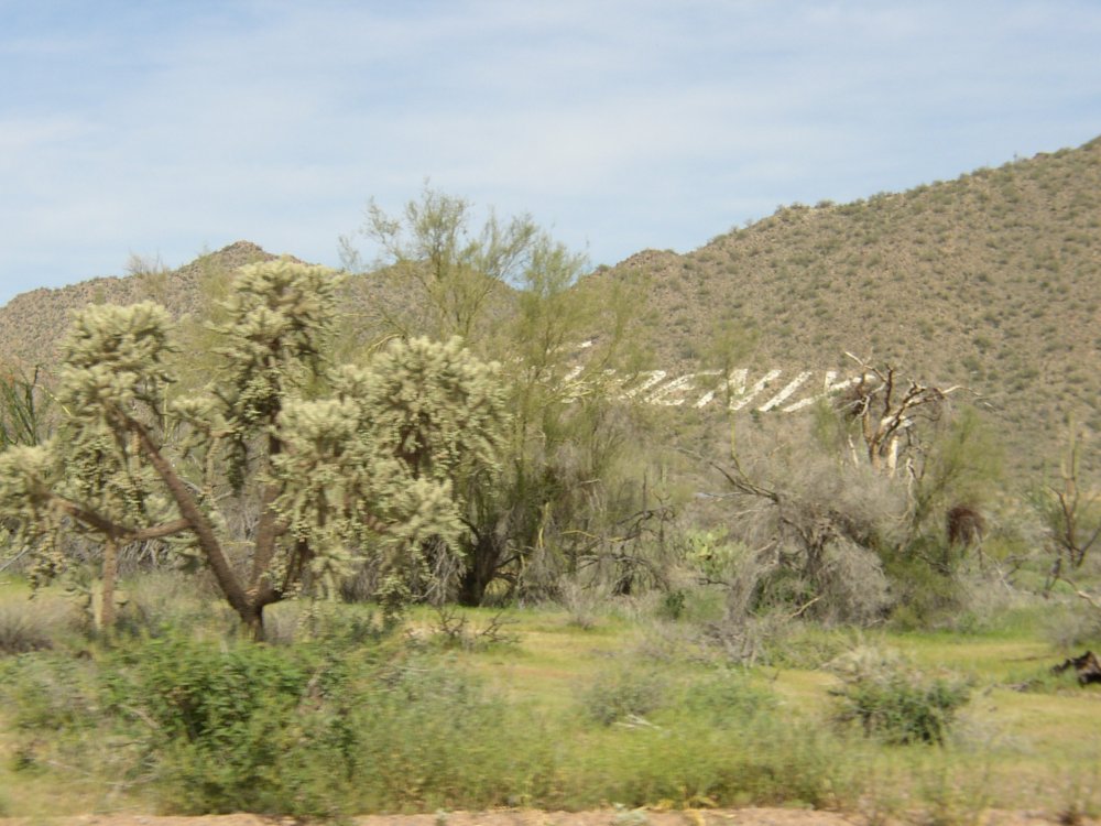 Picture 004
