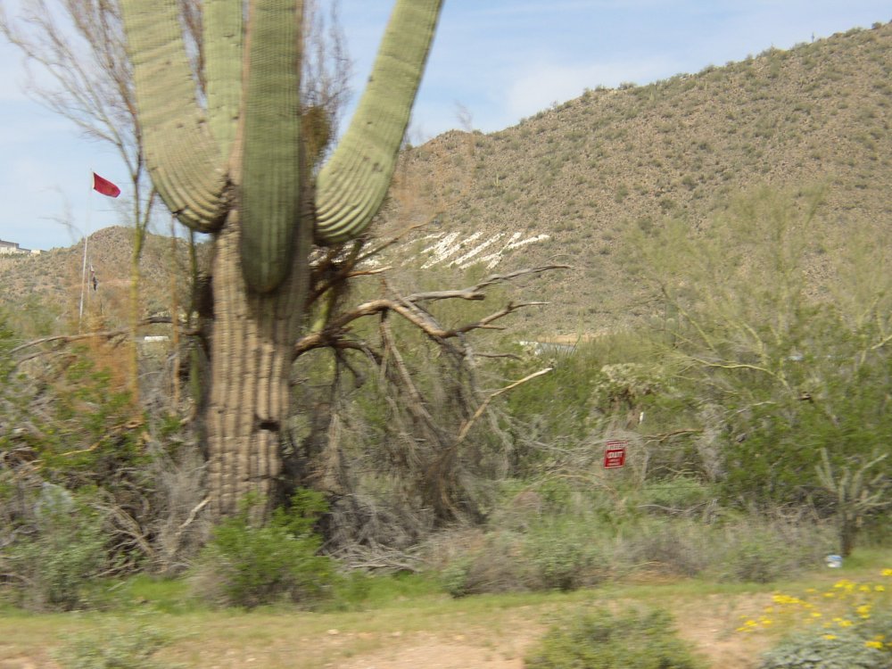 Picture 005