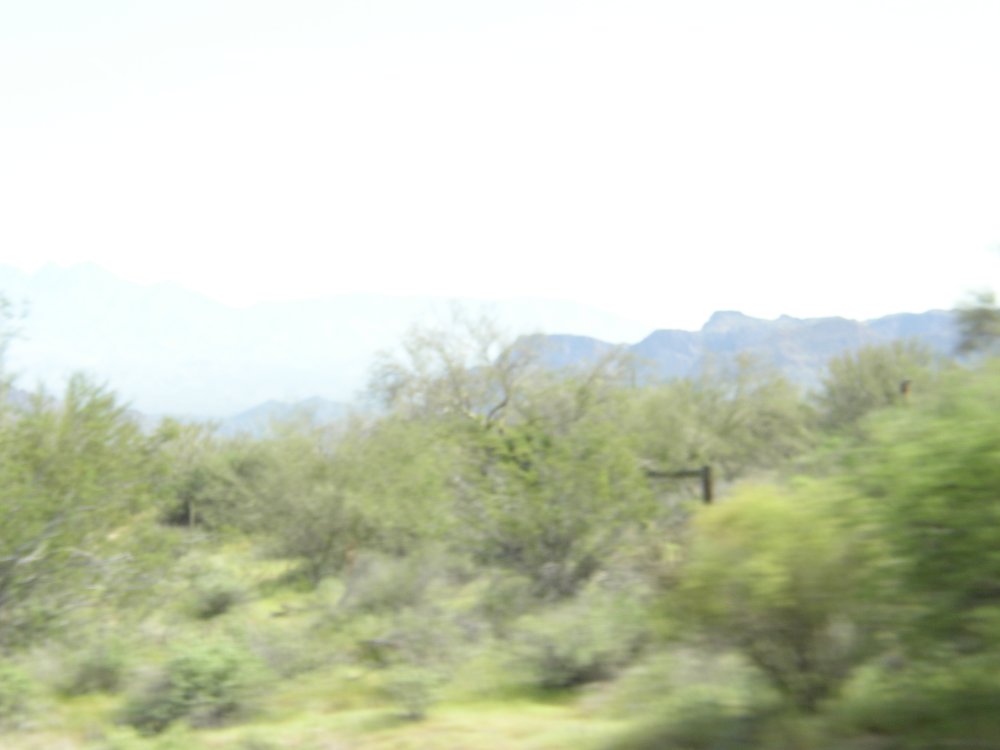 Picture 006