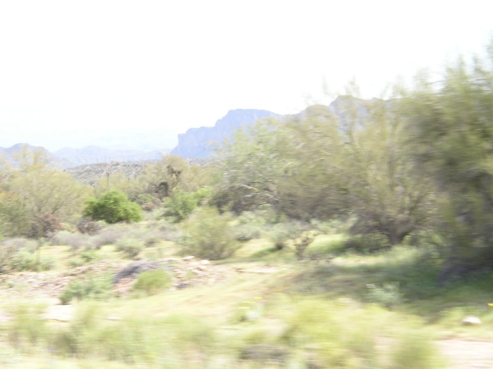 Picture 009