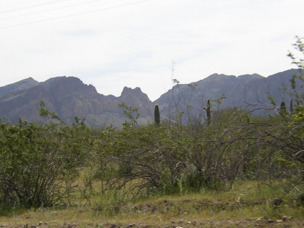 Picture 012