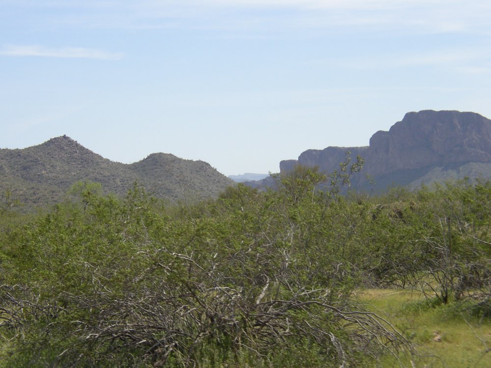 Picture 014