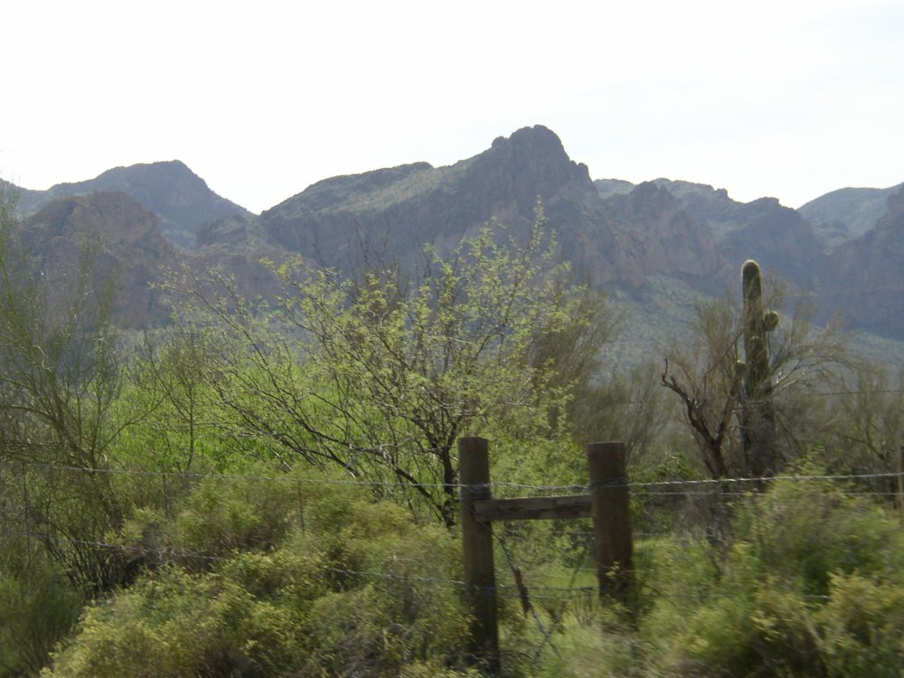 Picture 016