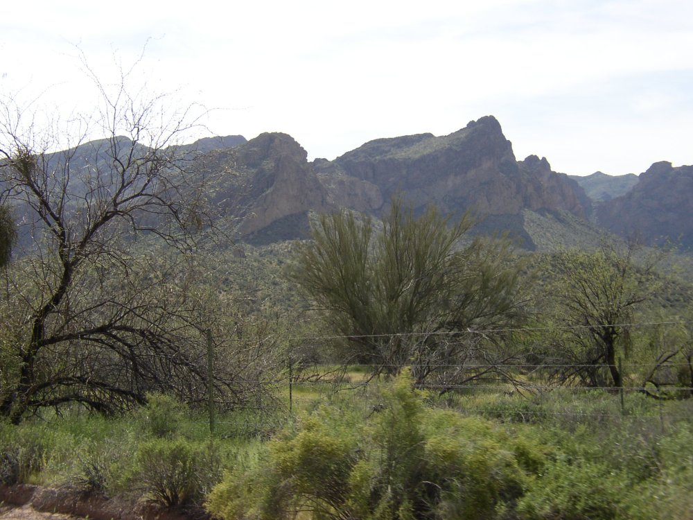 Picture 017